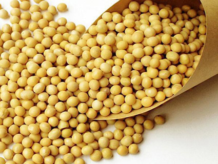 Soy Isoflavone